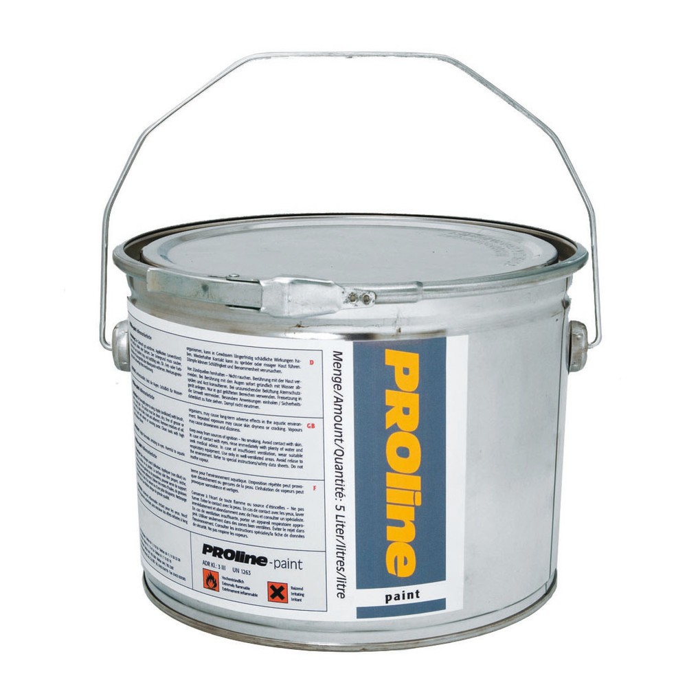 PROline paint for work areas, 5 l, matt